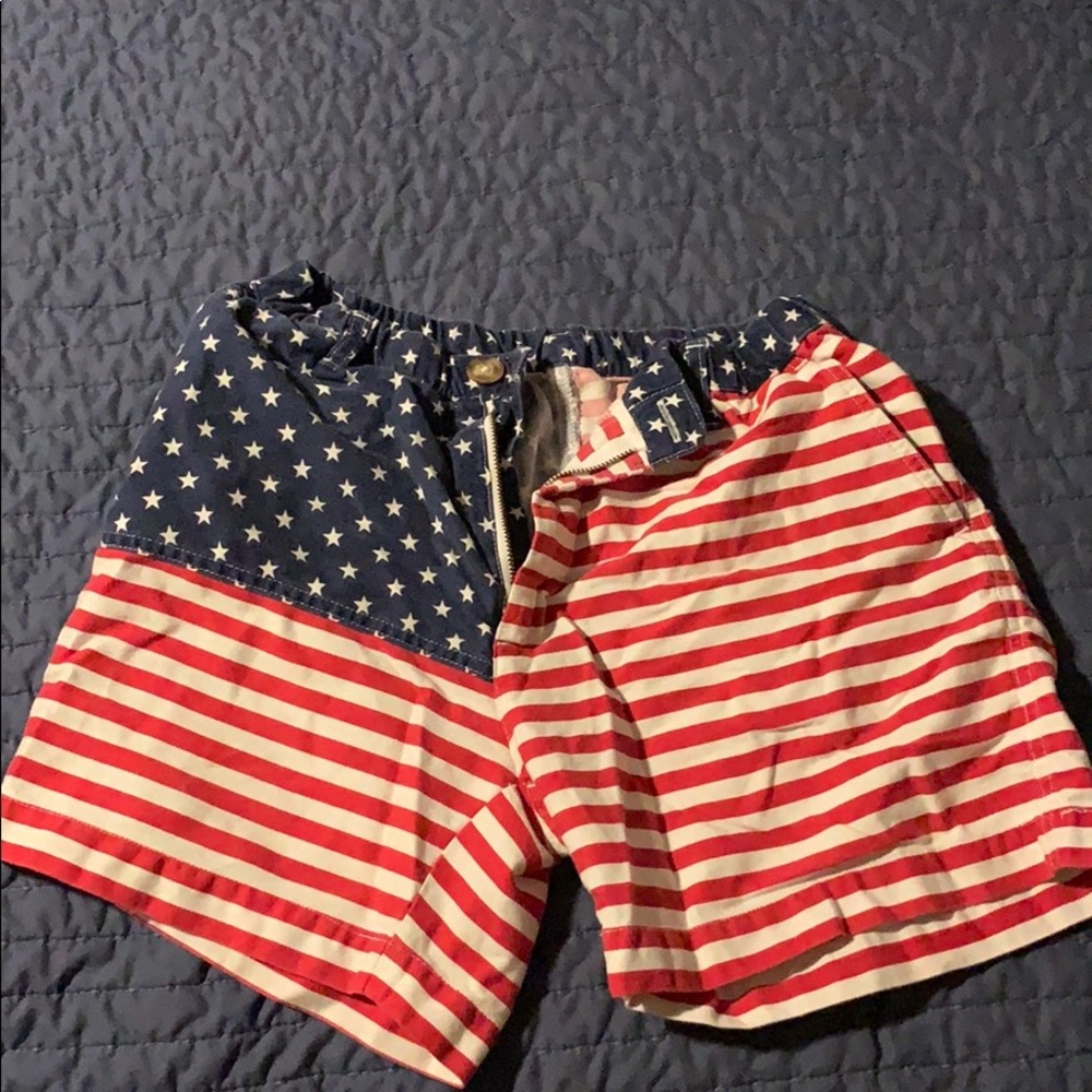 Men’s Chubbies Shorts